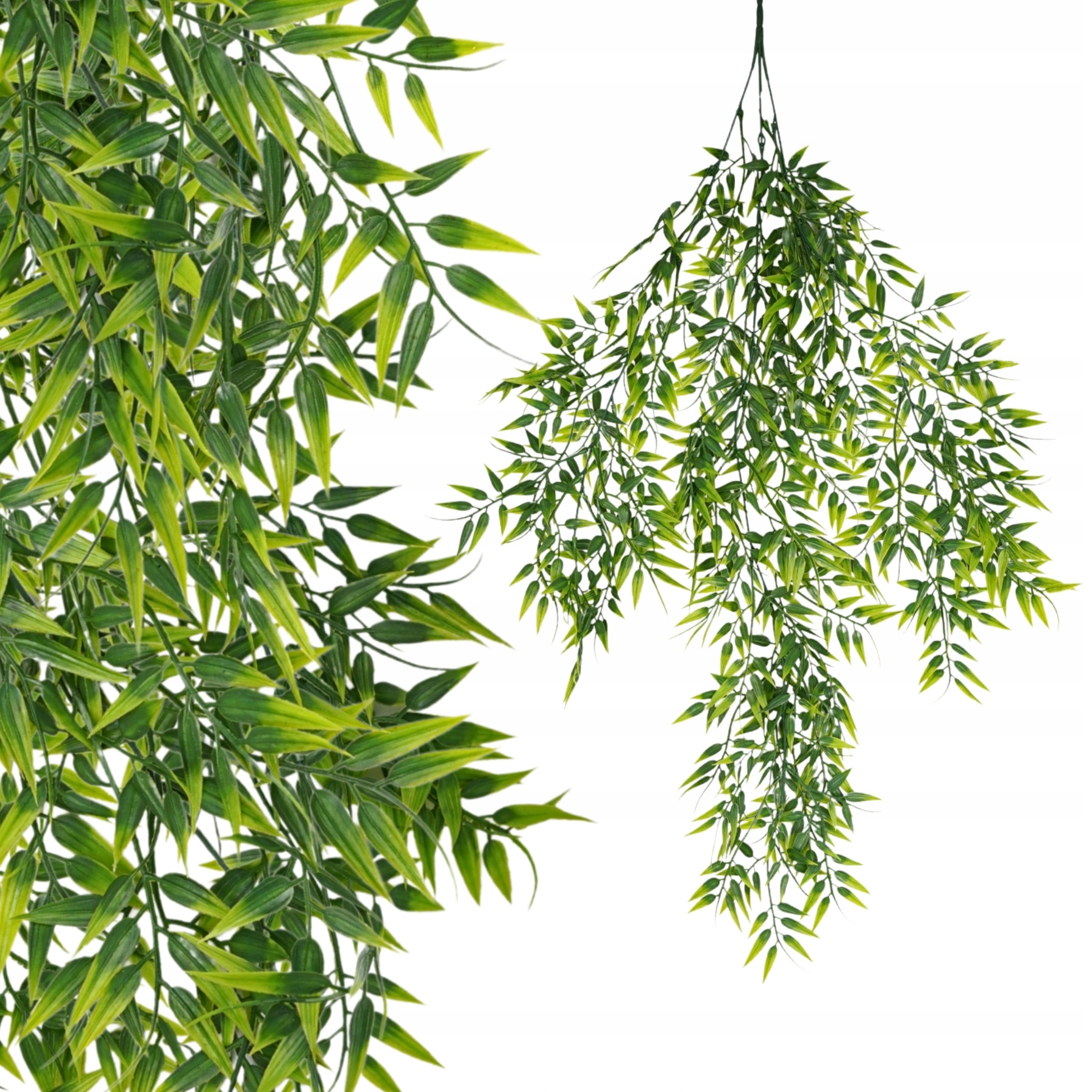 RUSKUS ZWISAJĄCA GĘSTA ZIELONA ROŚLINA 75cm DEKORACJA ZWIS ŚLUB WESELE