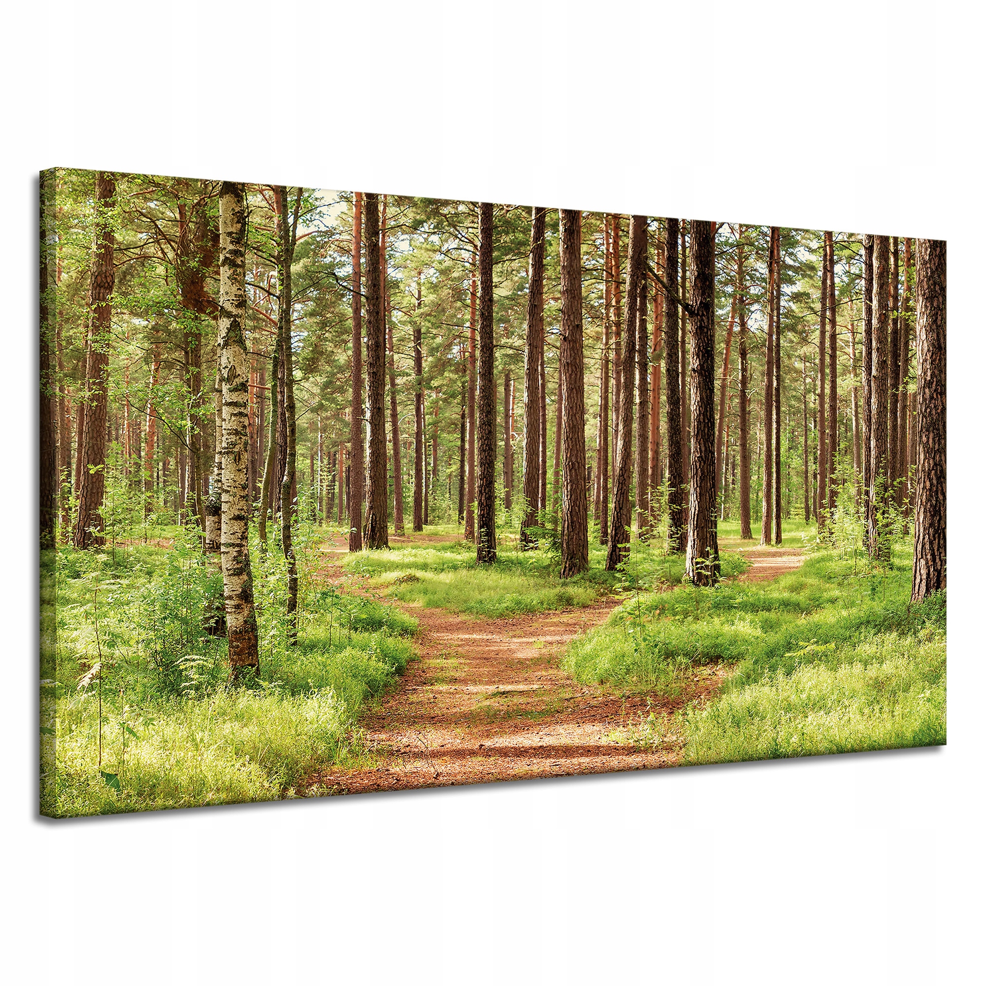Obraz na plátně Stezka v lese Stromy Příroda 120x70 cm