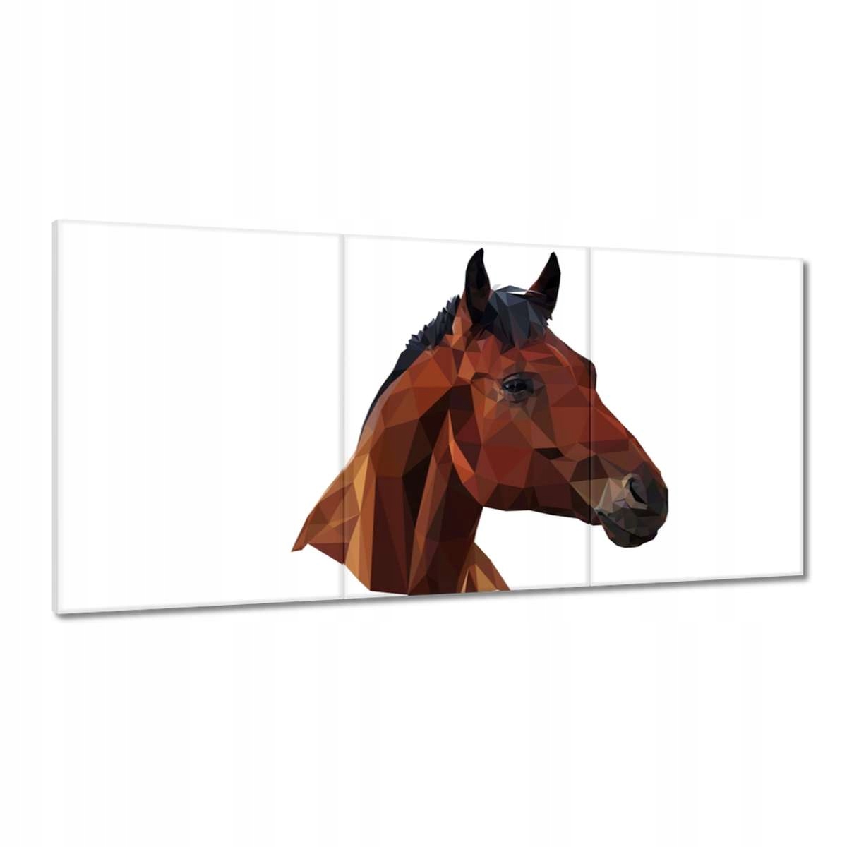 Obrazy 180x90 Hlava koňa Konská hlava