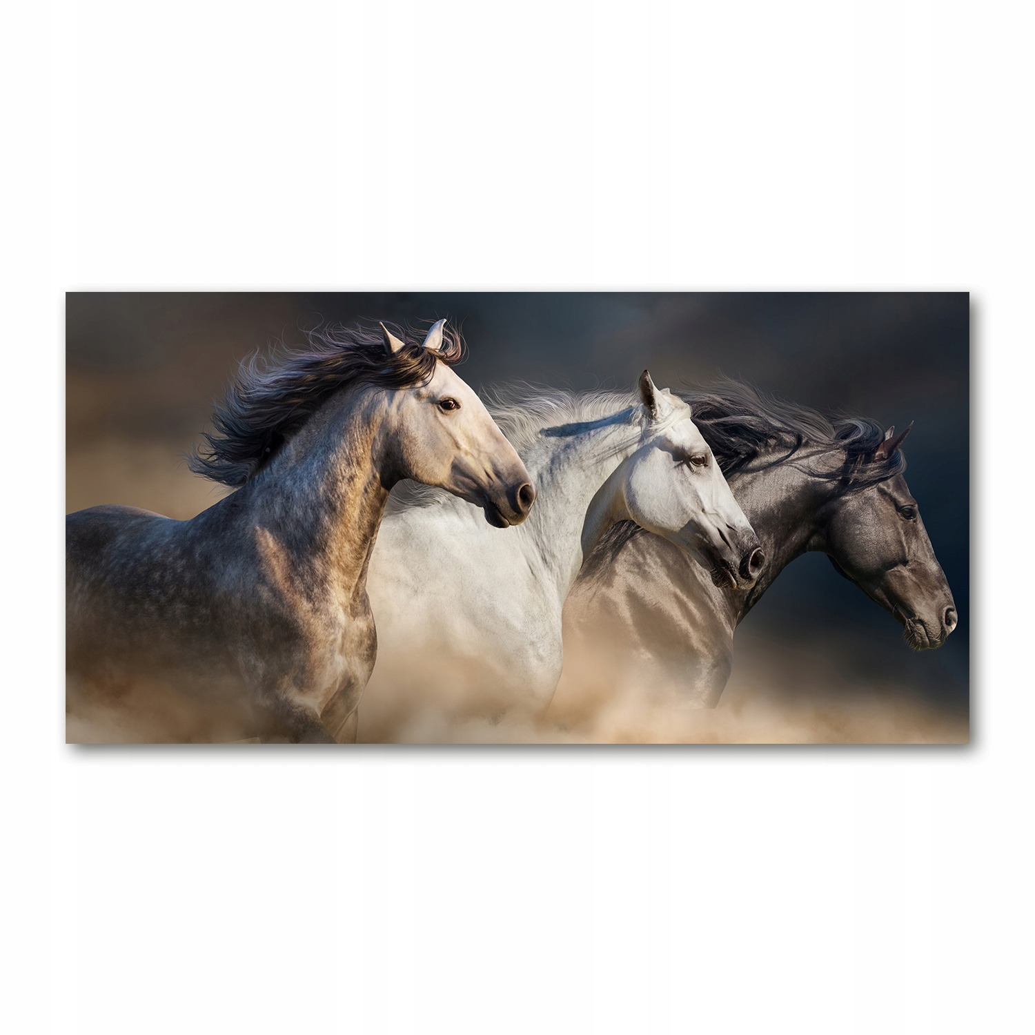 

Foto-obraz akryl Konie w galopie zdjęcie 140x70 cm