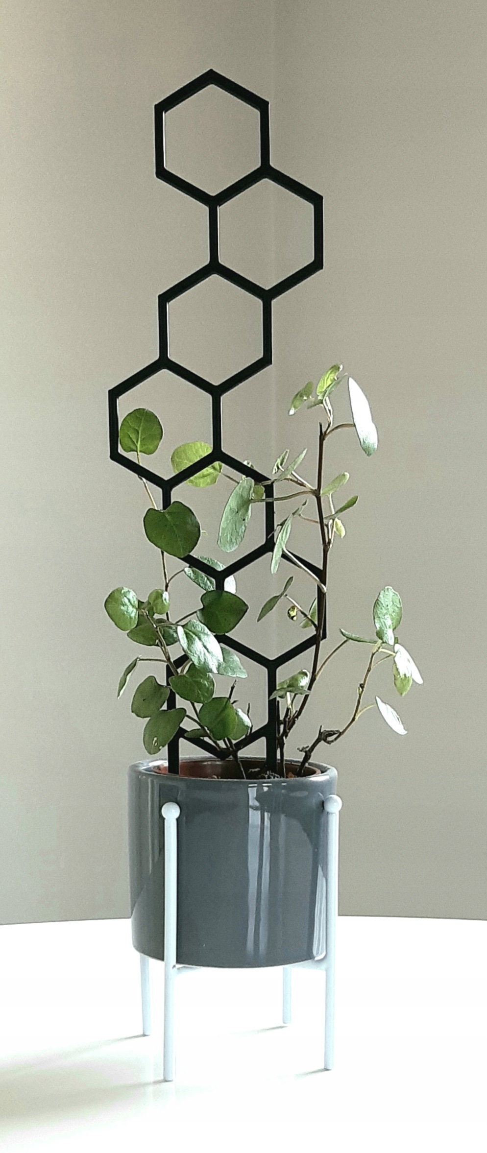 PODPÓRKA DRABINKA KWIATÓW ROŚLIN 7 MIODKÓW 48 cm Rodzaj drabinka