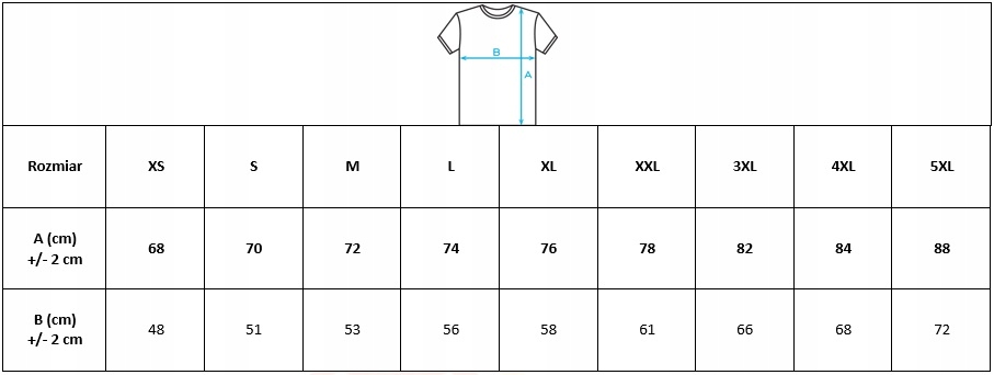 KOSZULKA T-SHIRT PREZENT 60 URODZINY ROZM Wzór dominujący print (nadruk)