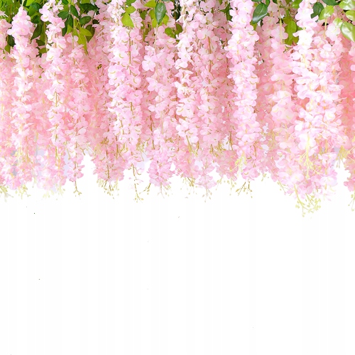 

XXL 12x wisteria glicynia girlanda pnącze