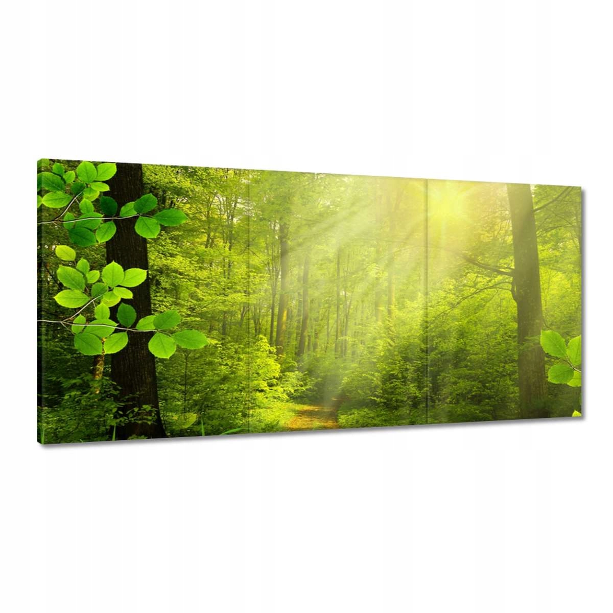 Obrazy 180x90 Magický les Krajina