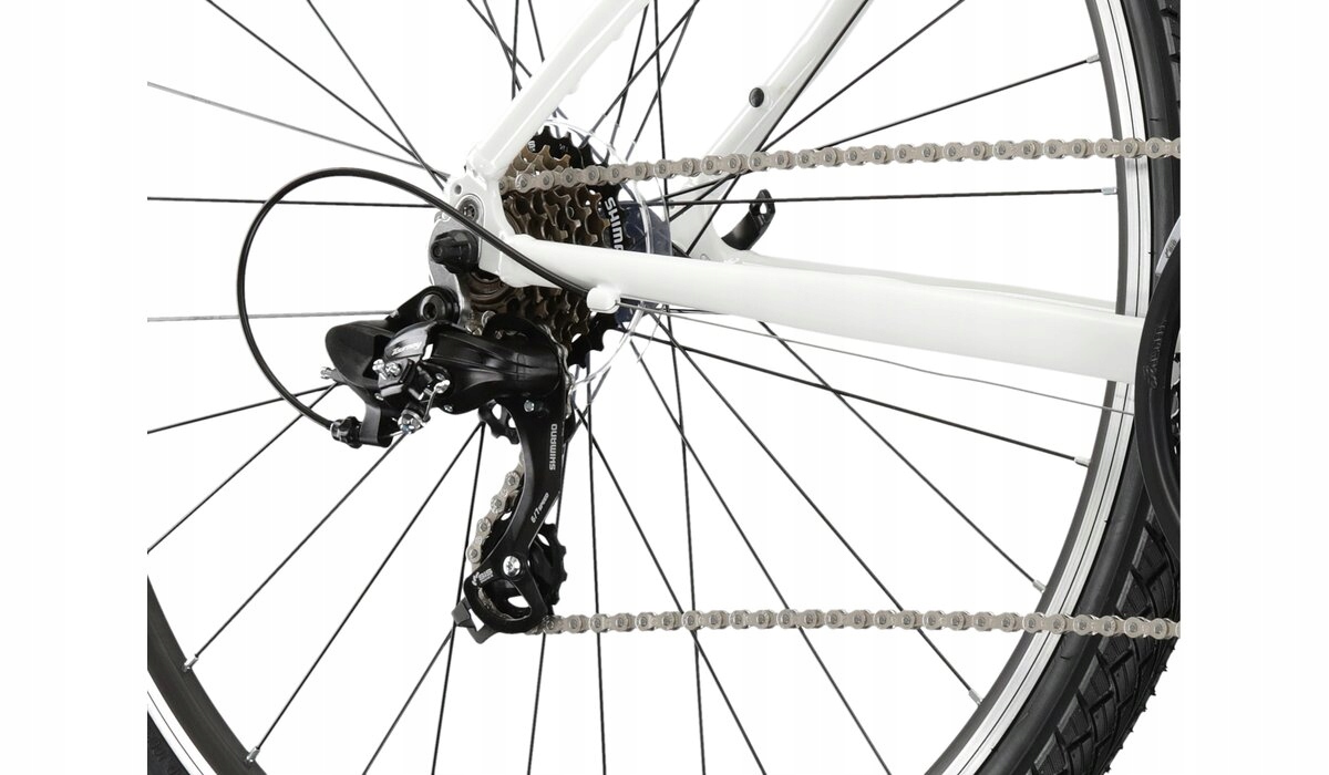 ROWER KROSS EVADO 1.0 L 19'' 28" ROCZNIK 2023 Model Evado 1.0