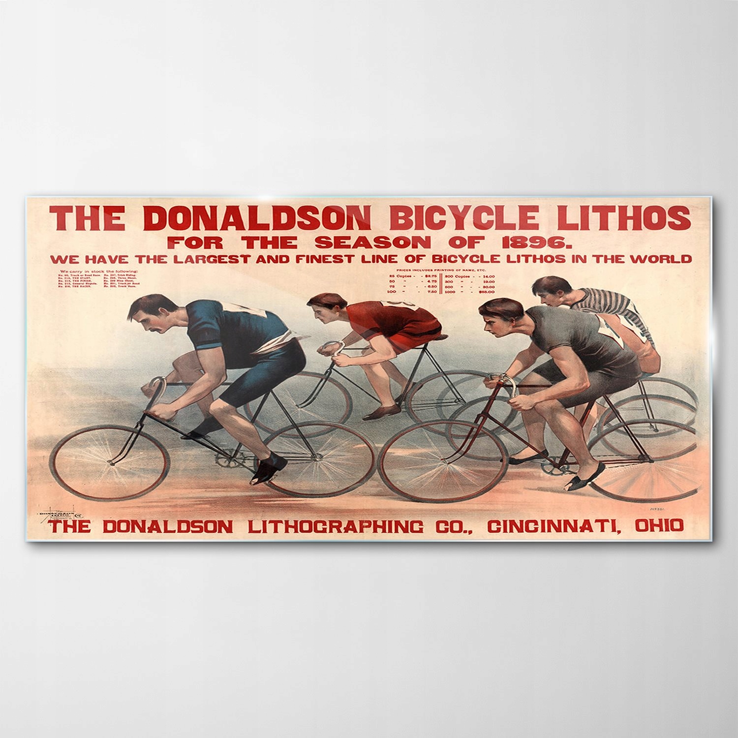 Tvrdený sklenený obraz Donaldson Bicykel 100x50