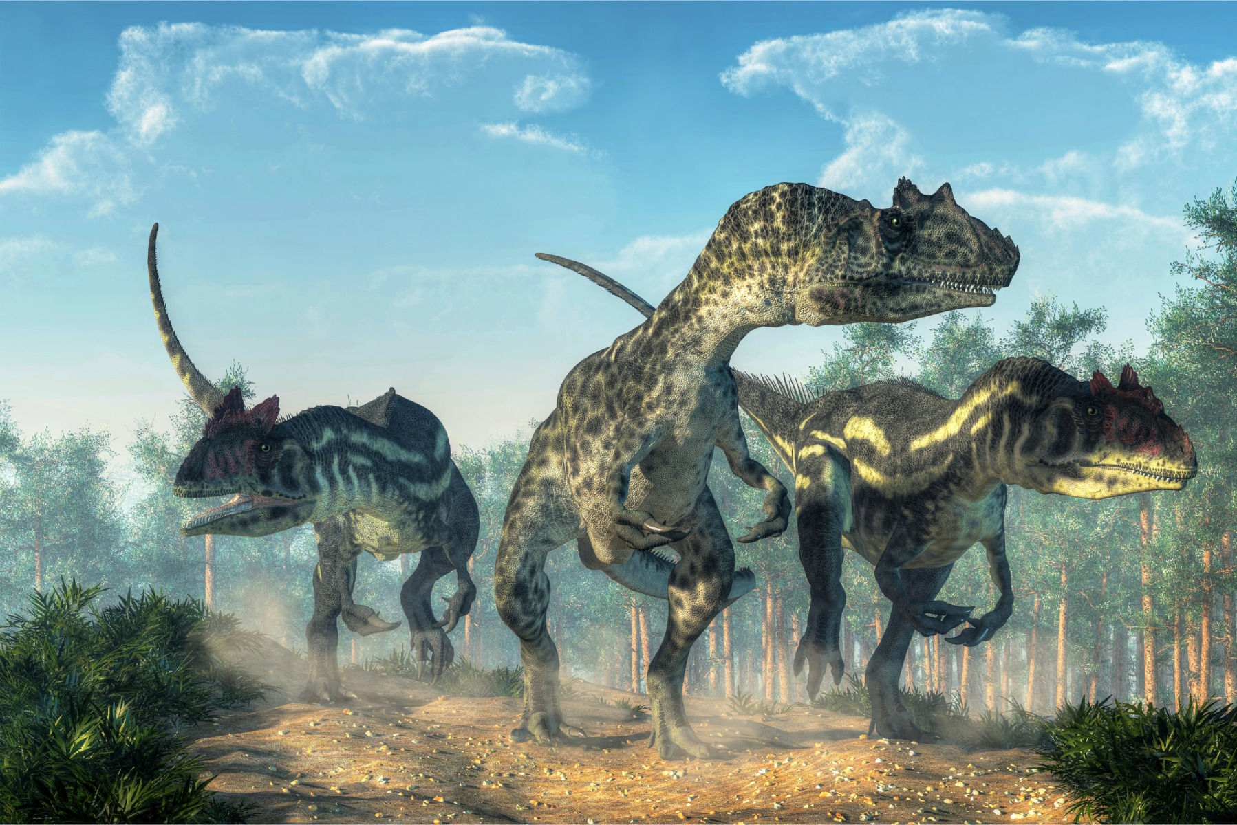 Fototapeta Mládež dinosauři les nebe 270x180
