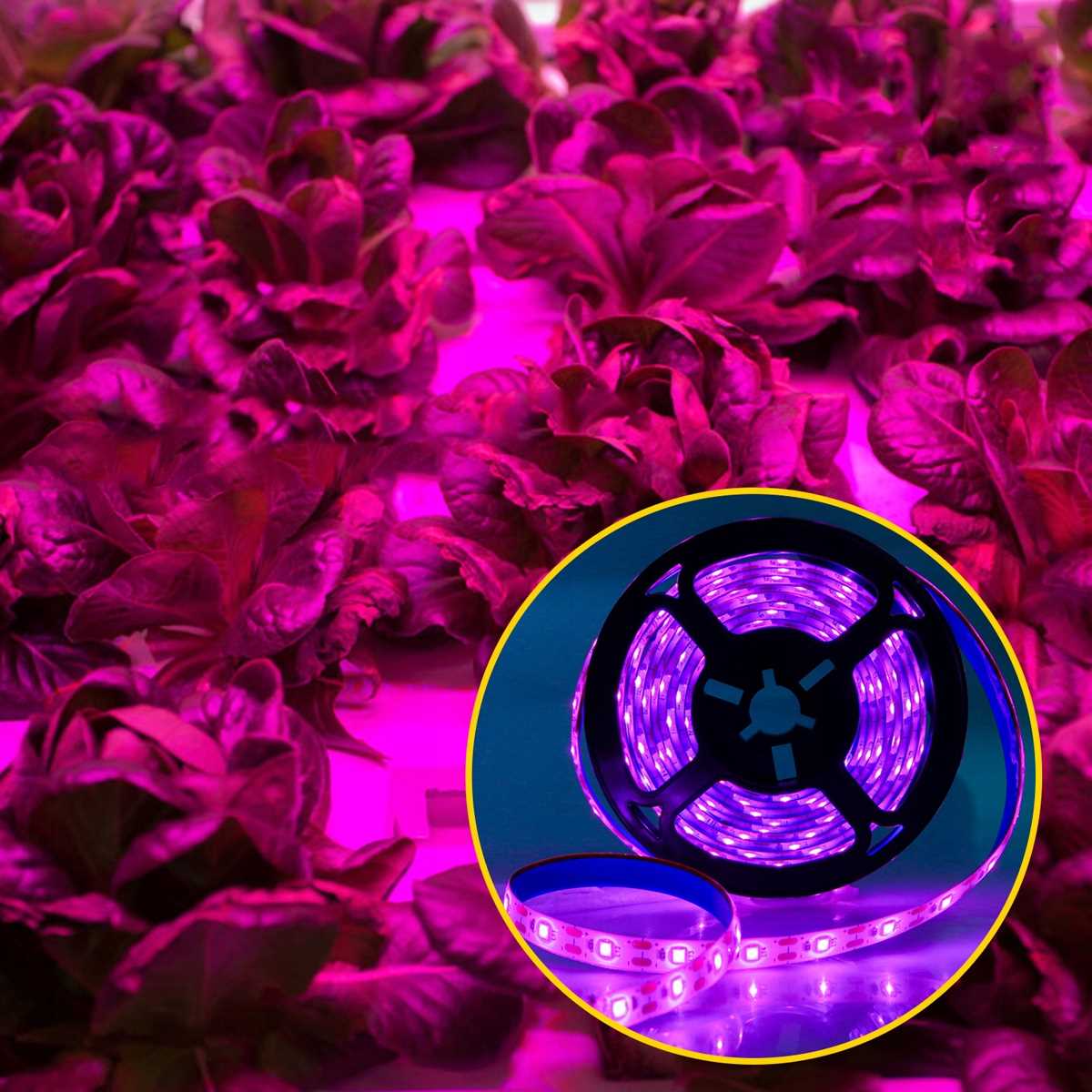 Taśma LED Plant Heckermann 1m USB IP20 Typ oświetlenia GROW