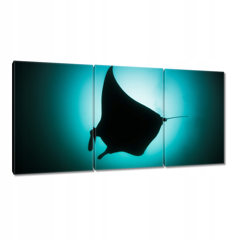 

Obrazy 120x60 Zwierzęta Zwierzątka