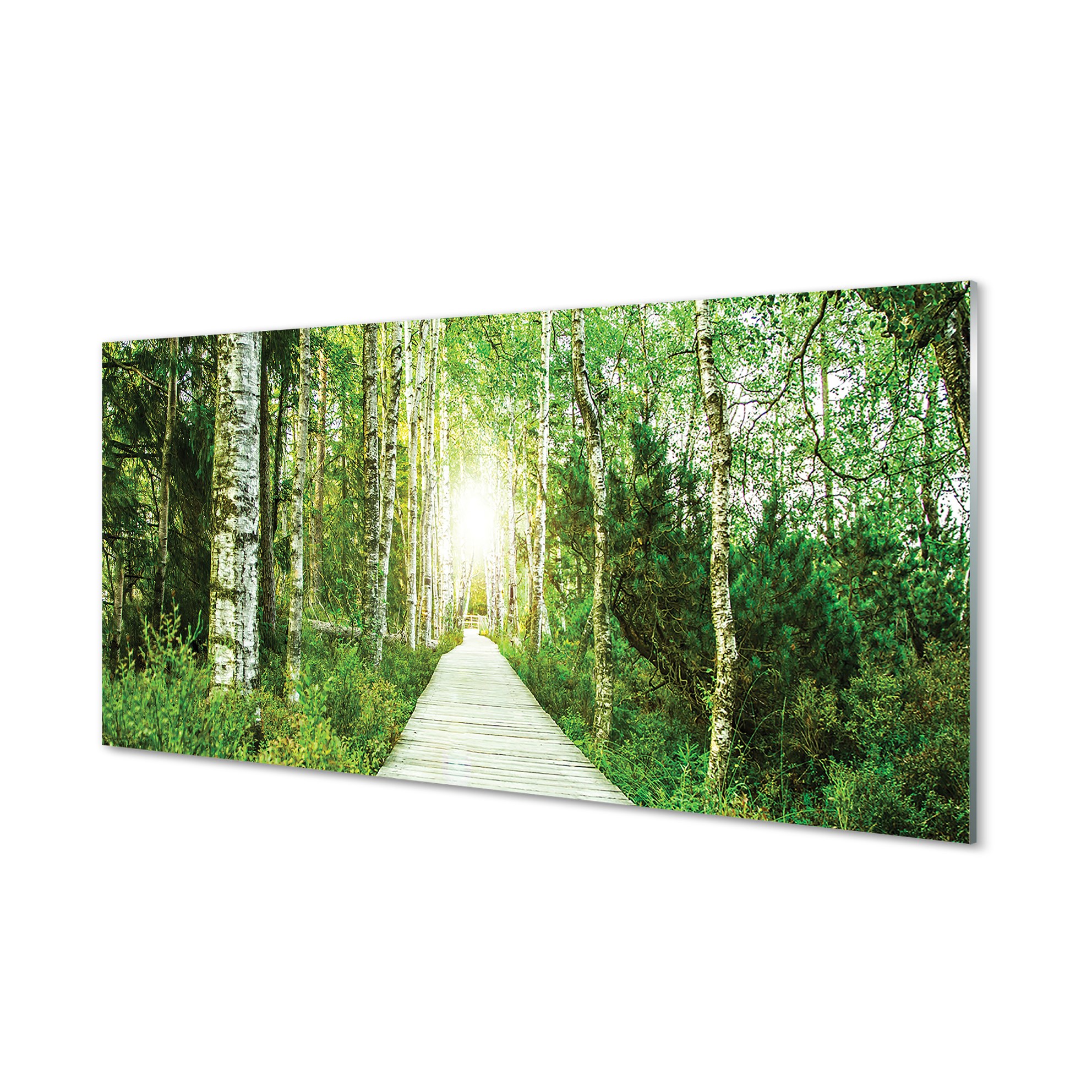 Obraz na skle Cesta les stromy břízy 140x70 cm