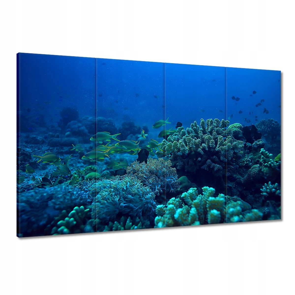 Obrazy 120x80 Laguna Korály Oceán