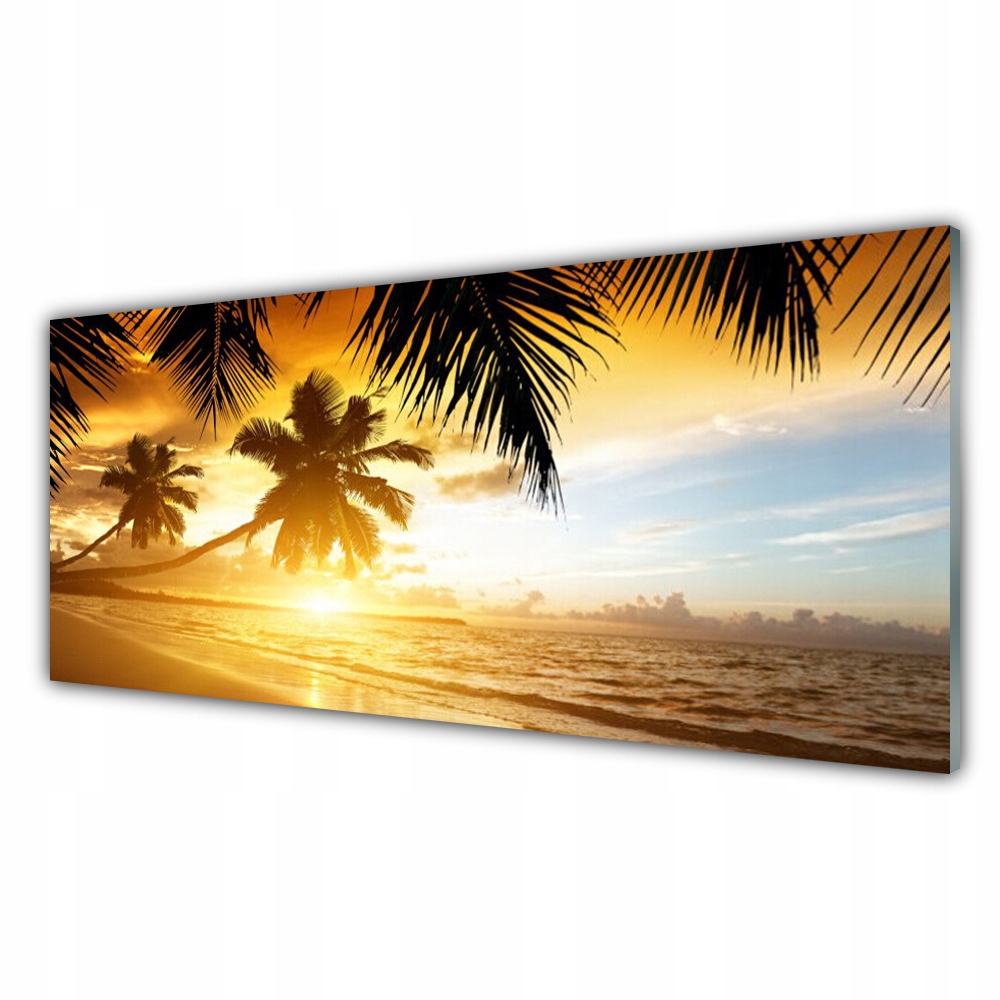

Obraz akrylowy 125x50 Plaża Palma Morze Krajobraz