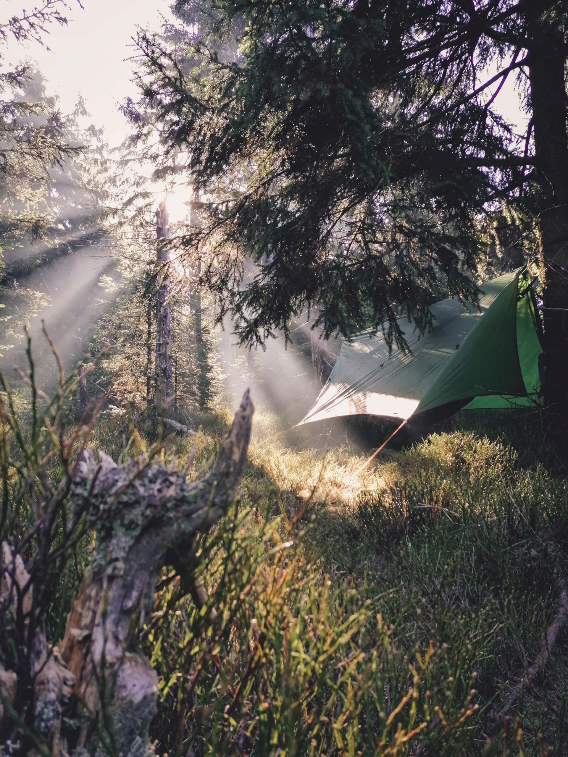 AMAZONAS Tarp Do Hamaka Ultralekki Z Ochroną Przed Wiatrem Na Kemping — miniatura 7
