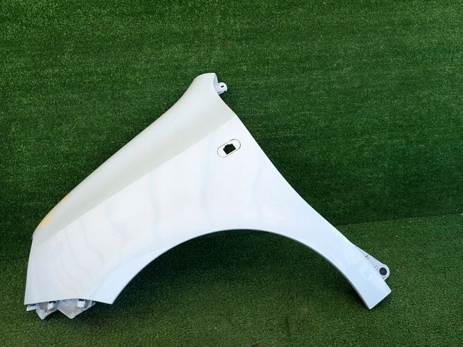 RENAULT TWONGO III 14- fender left front front