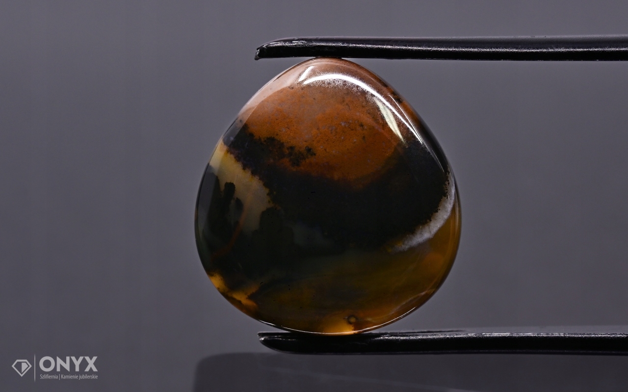 Dendritový achát z Kazachstánu konvexní plaketa slza