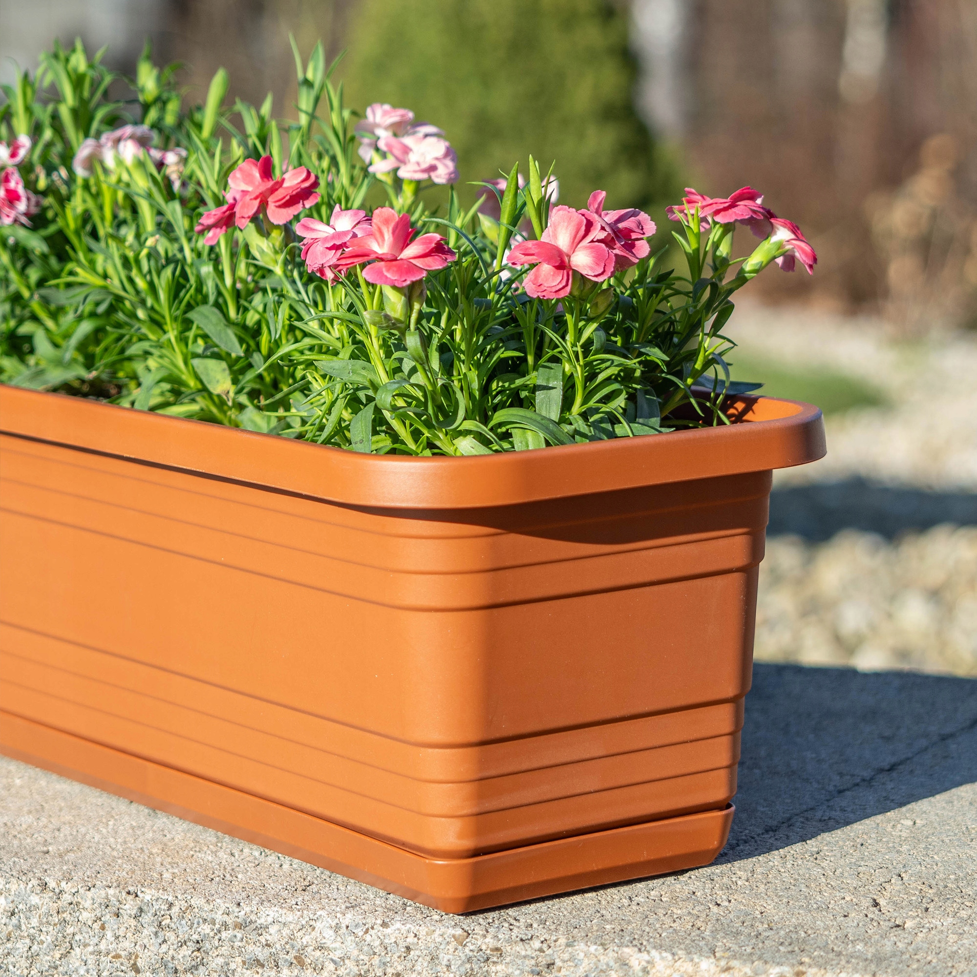 DONICZKA BALKONOWA SKRZYNKA DONICA NA KWIATY 60cm + PODSTAWKA CEGLASTA Długość maksymalna 60 cm