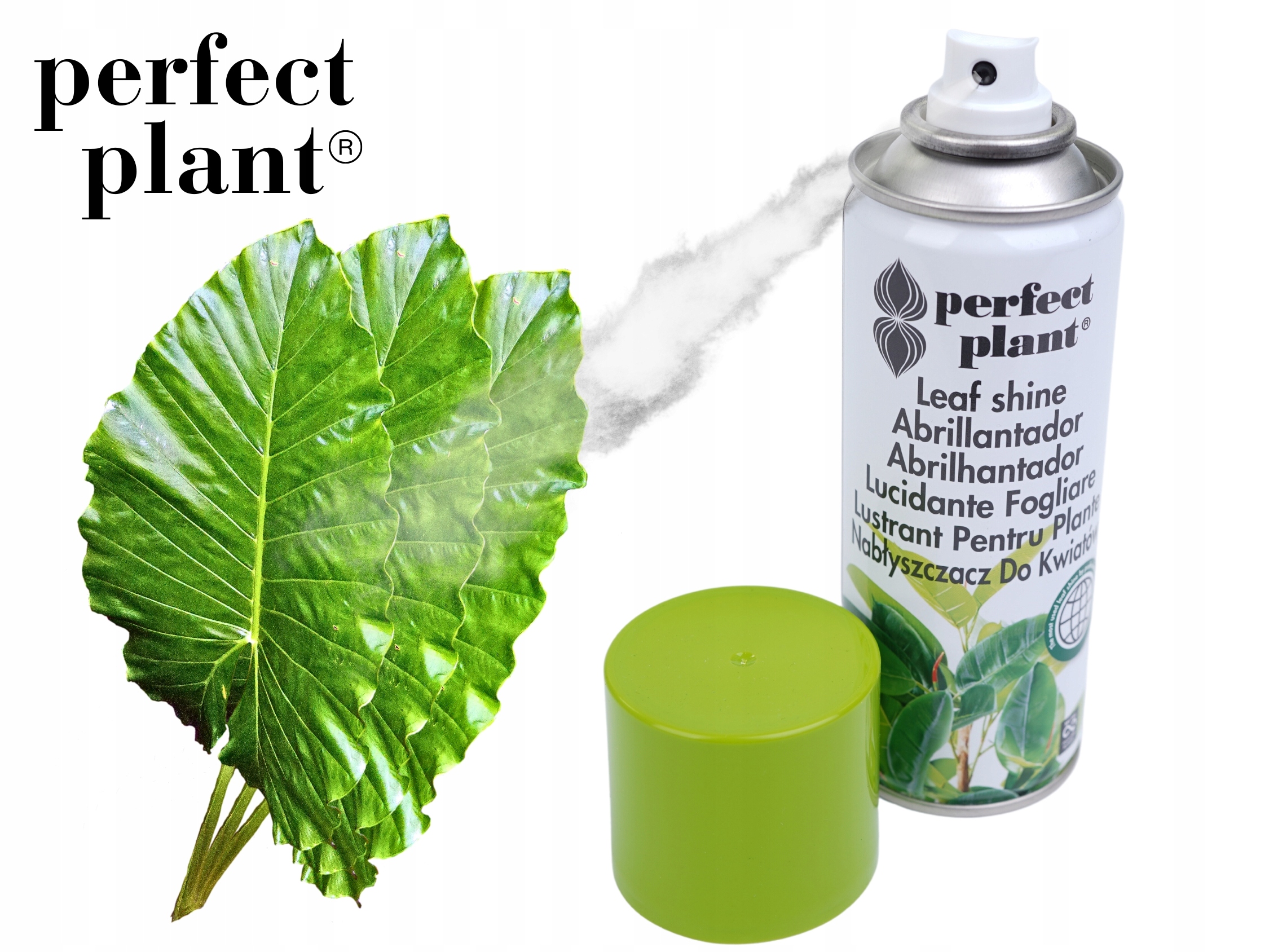 NABŁYSZCZACZ DO ŻYWYCH KWIATÓW I LIŚCI SPRAY 200ml Kod producenta NABŁYSZCZACH DO ROŚLIN SUPER BŁYSK 0,2l