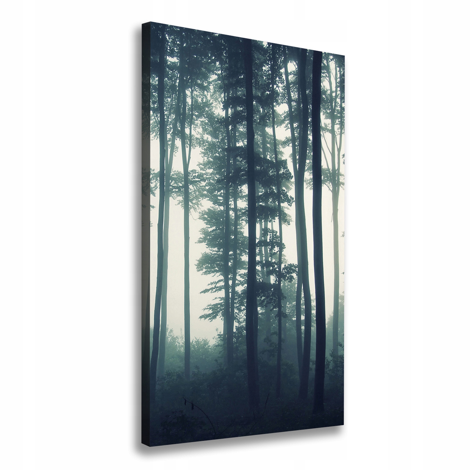 

Foto obraz canvas do salonu Mgła w lesie 50x100