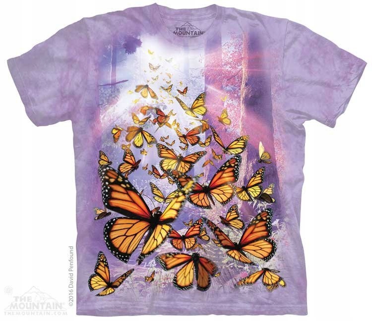 Motýli monarchové Horská L