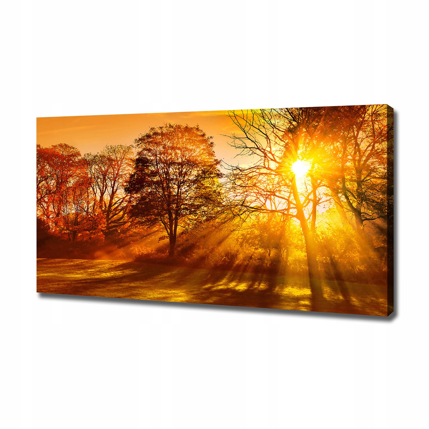 

Foto obraz na płótnie Zachód słońca 120x60 cm
