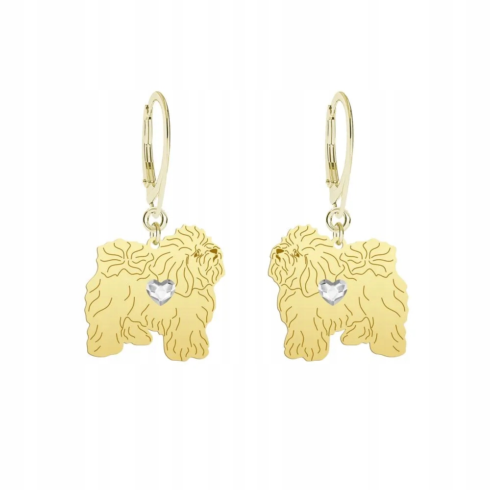 Náušnice Zlaté s Boloňanem 925 Šperky Věnování Žena Gravírování Bonus