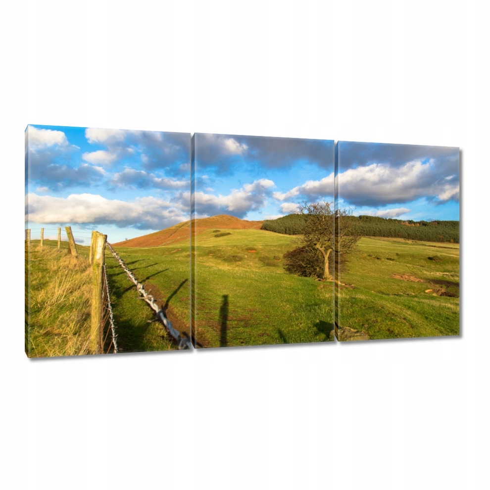

Obrazy 120x60 Krajobraz z łąką