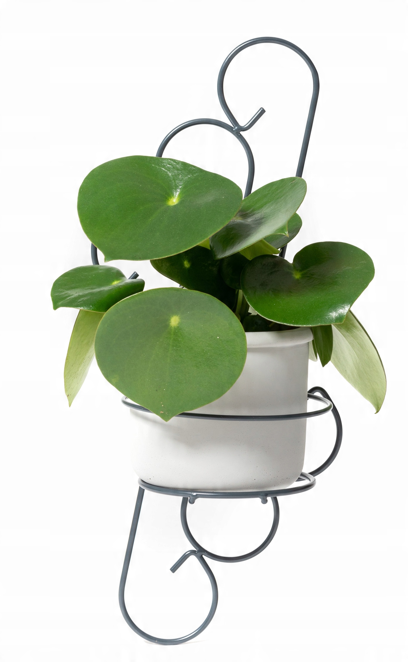 

Kwietnik Na Ścianę Ścienny Wiszący Loft Loftowy