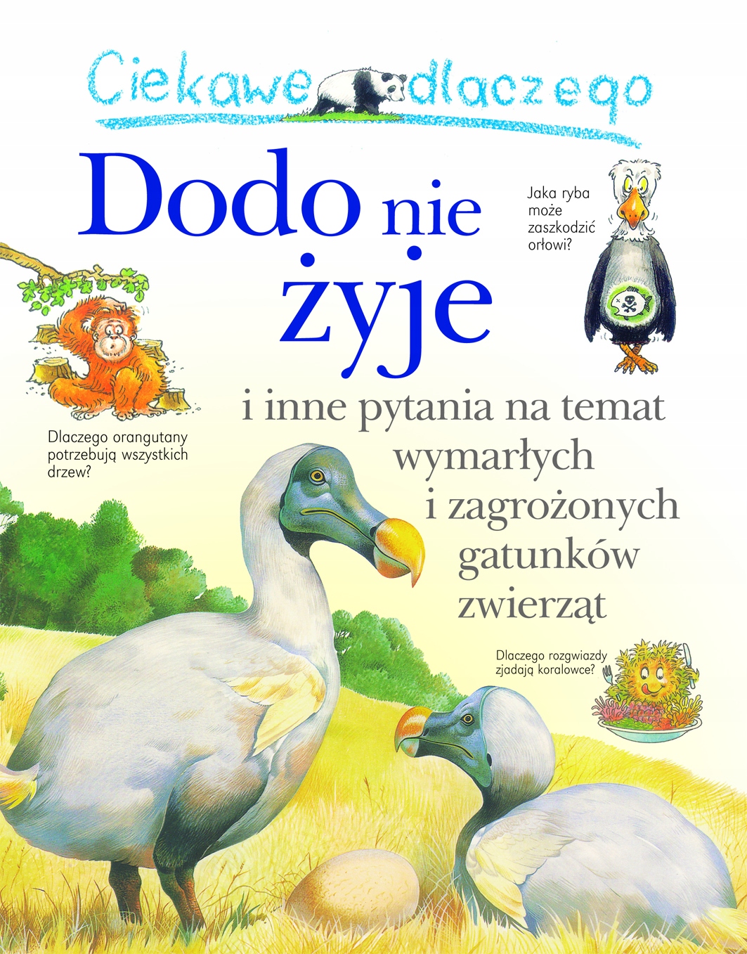 

Ciekawe dlaczego dodo nie żyje