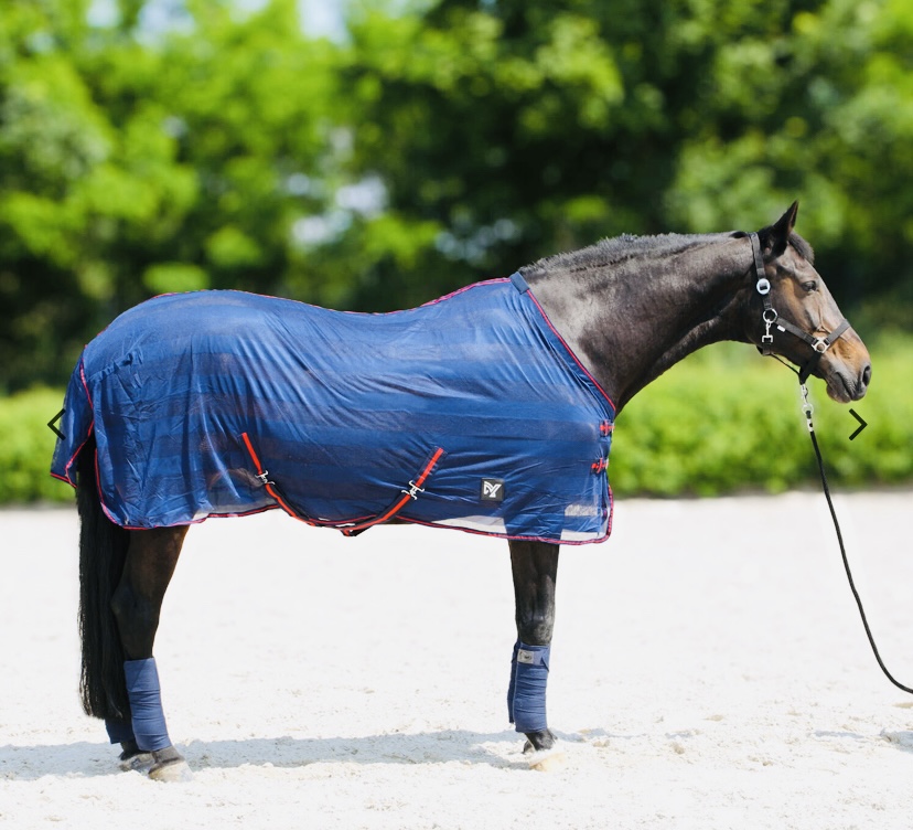 DERKA SIATKOWA PRZECIW OWADOM MUCHOM DLA KONIA 135 LEKKA I PRZEWIEWNA