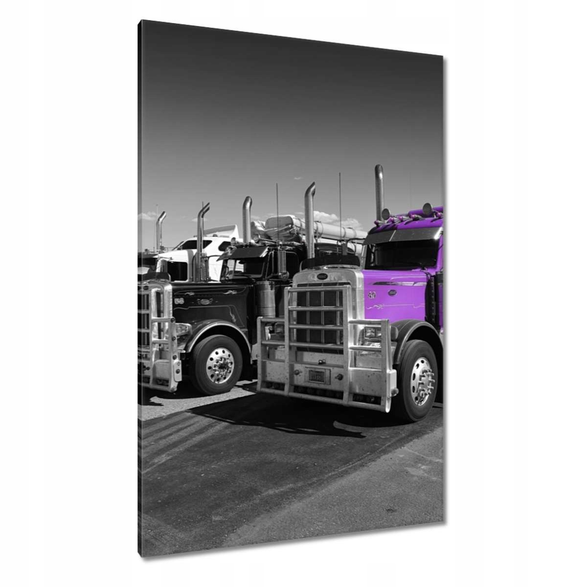 Obrazy 80x120 Nákladní automobil