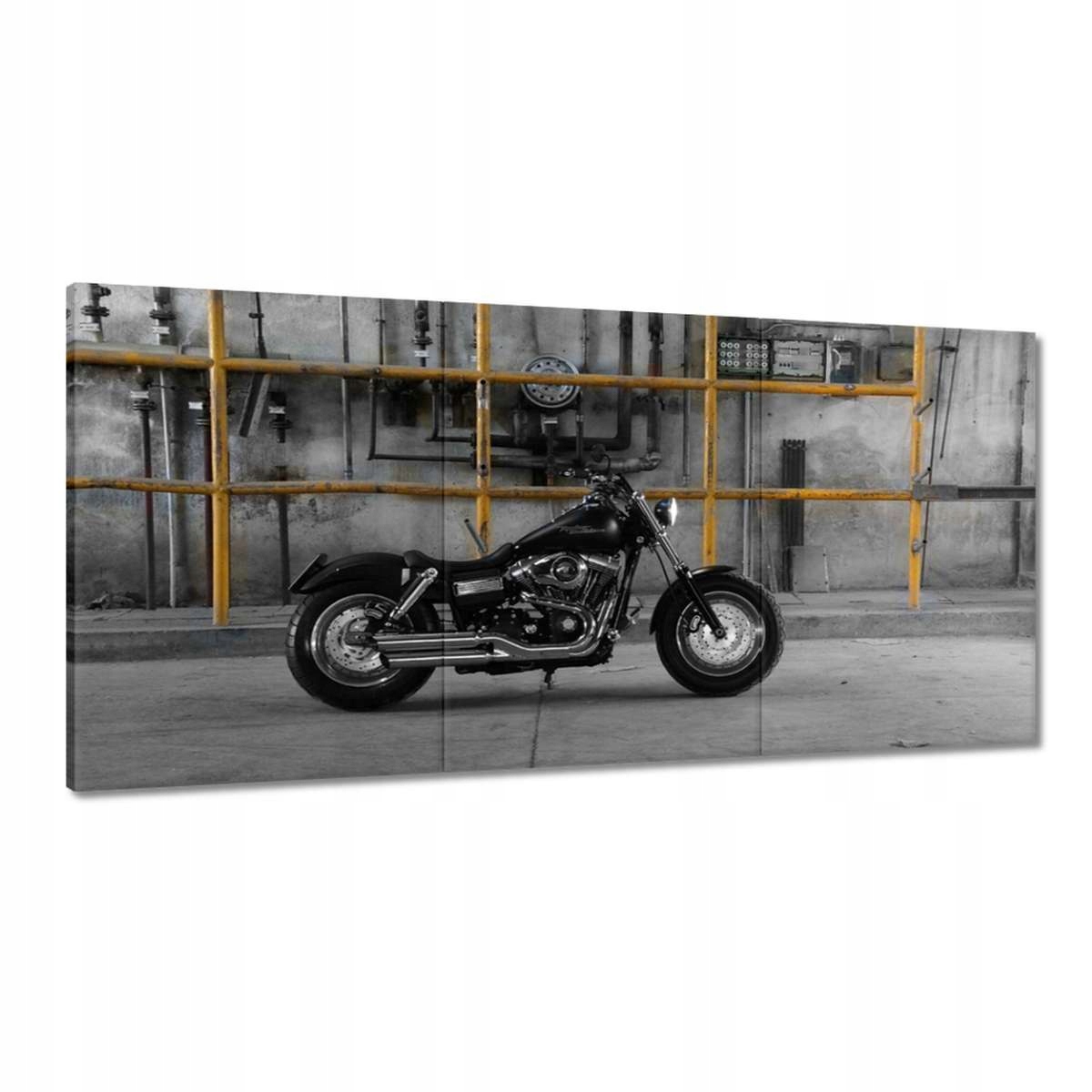Obrazy 180x90 Harley Davidson
