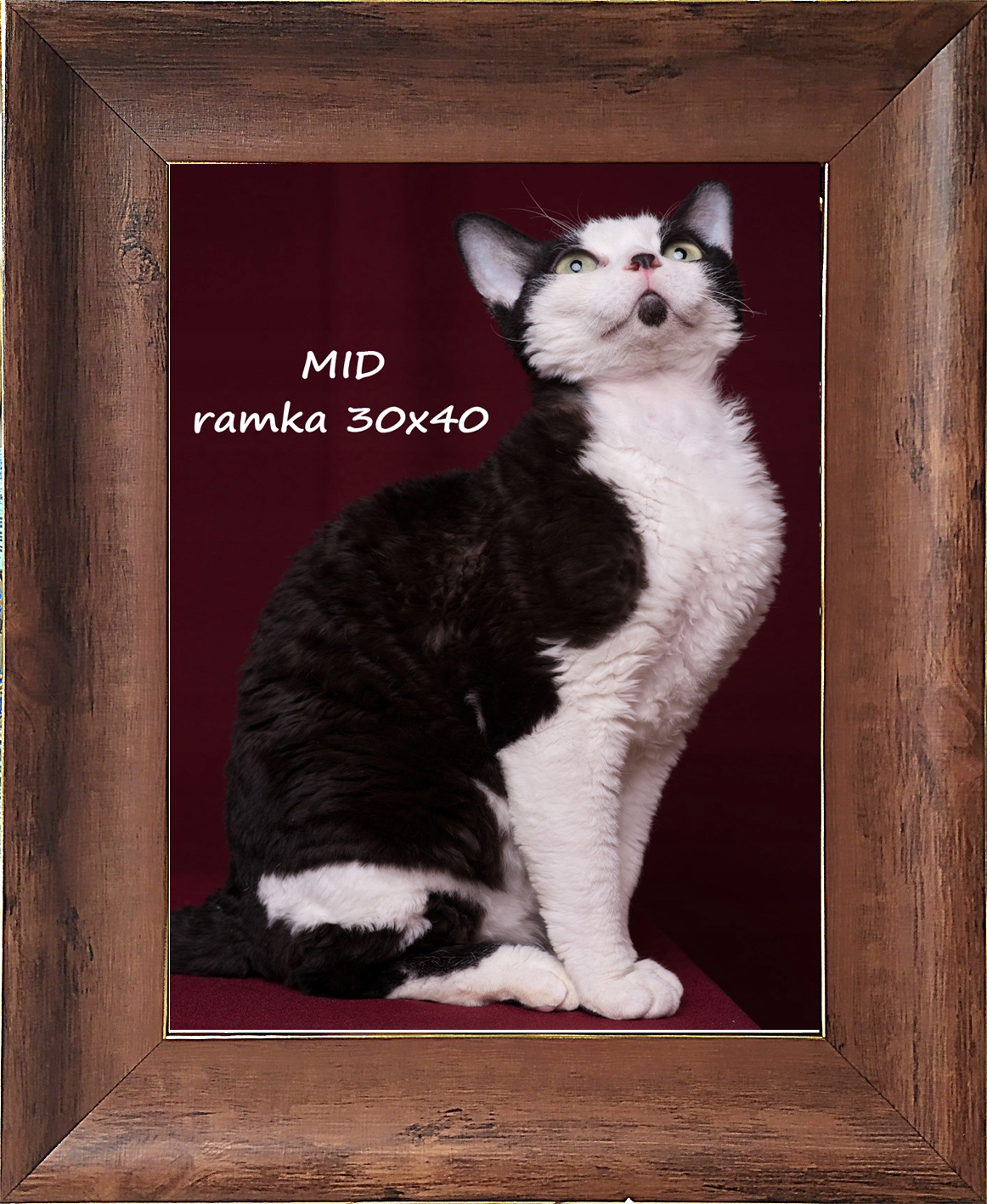 Rámeček 30X40 Hola 65 MM