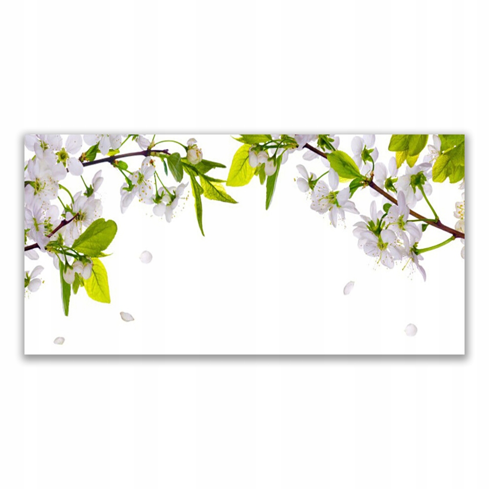 

Fotoobraz na ścianę z grafiką 120x60 Płatki Natura