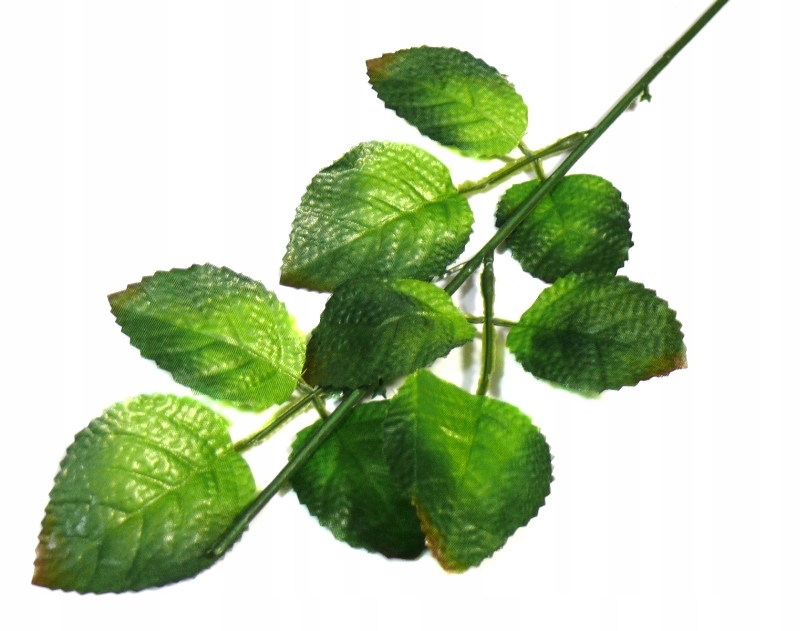 Łodyga do kwiatów RÓŻA gałązka