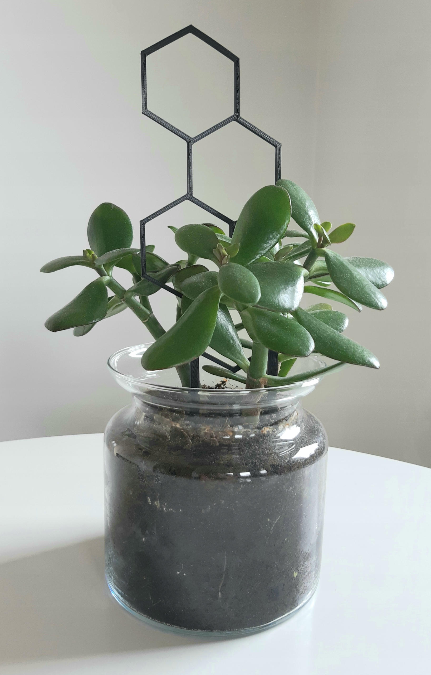 PODPÓRKA DRABINKA PERGOLA KWIATÓW ROŚLIN HEKSAGON Marka inna