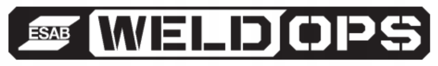 ESAB GOGLE OKULARY PRZECIWODPRYSKOWE OCHRONNE Model Visitor Spec Clear Lens