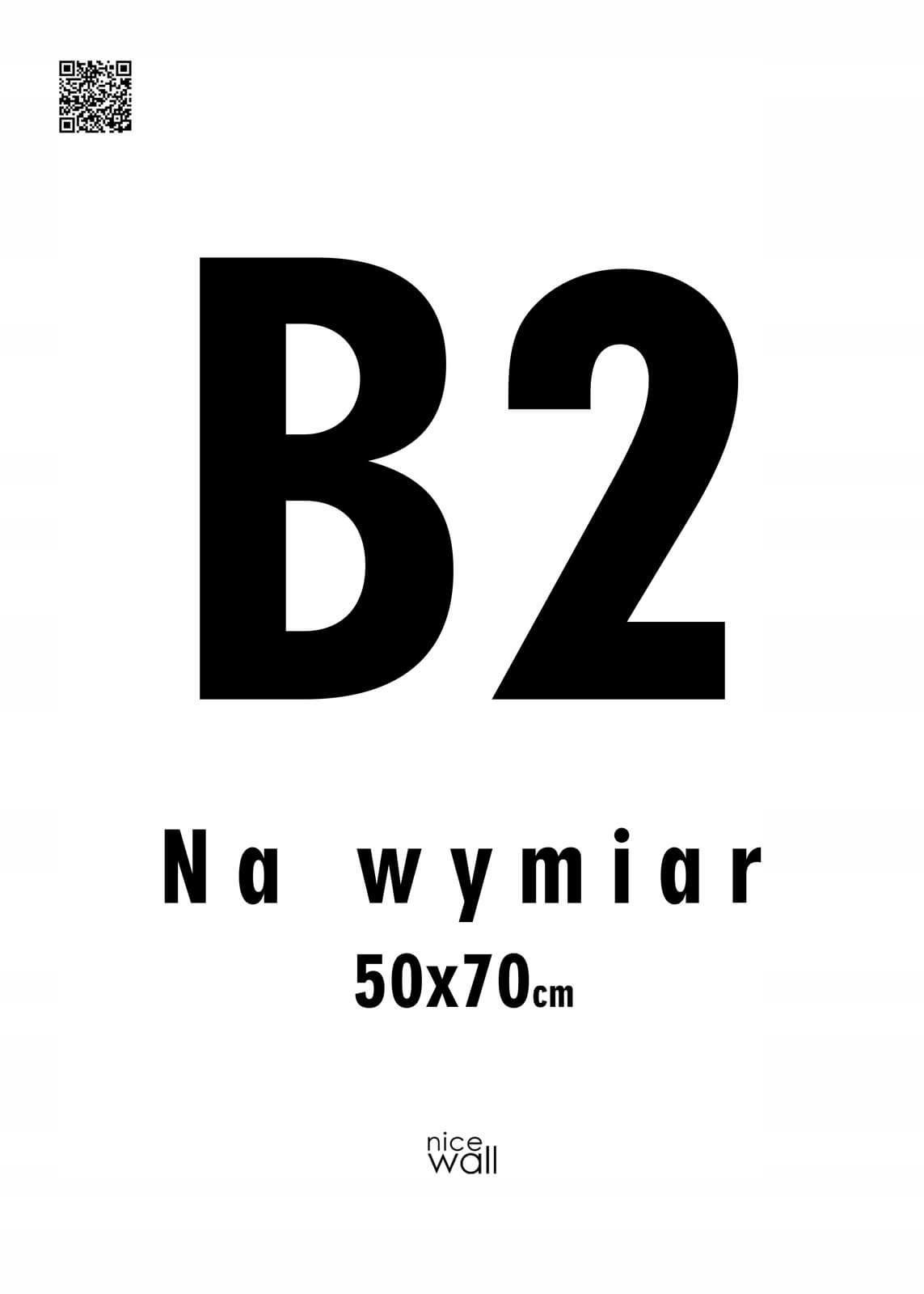 

Plakat na wymiar B2 50x70cm Wydruk cyfrowy 200g/m2