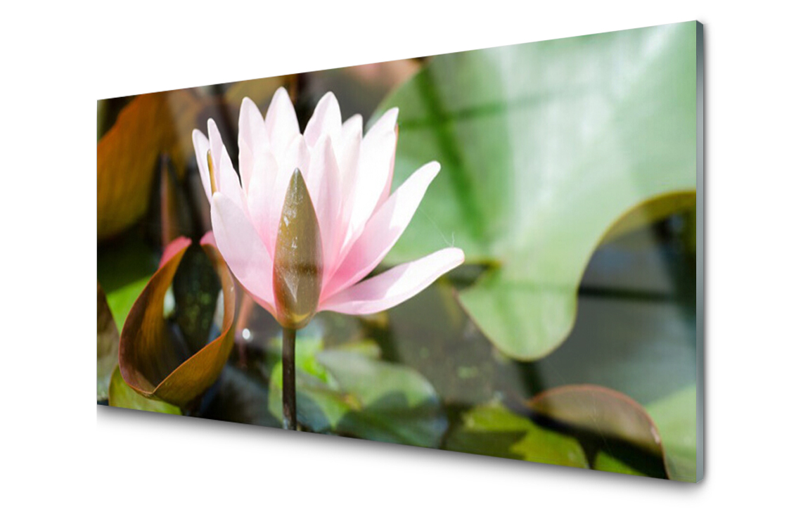 

Panel szklany Płytka Kwiat Roślina 140x70 + Klej