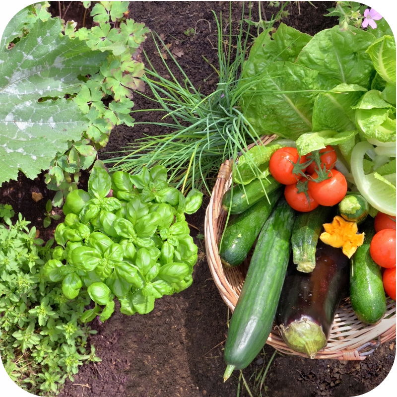 NAWÓZ UNIWERSALNY AZOFOSKA GRANULAT 10KG do ogrodu OBFITE PLONY BUJNA TRAWA Rodzaj nawozu wieloskładnikowy