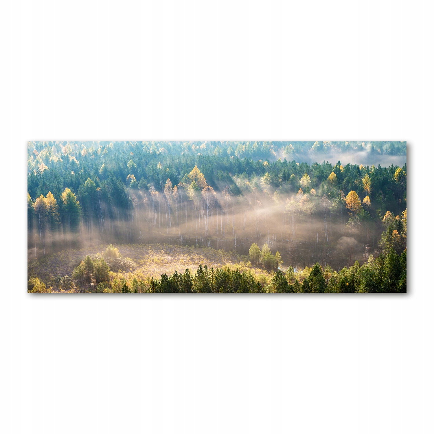 

Foto obraz akryl zdjęcie Mgła w lesie 125x50 cm