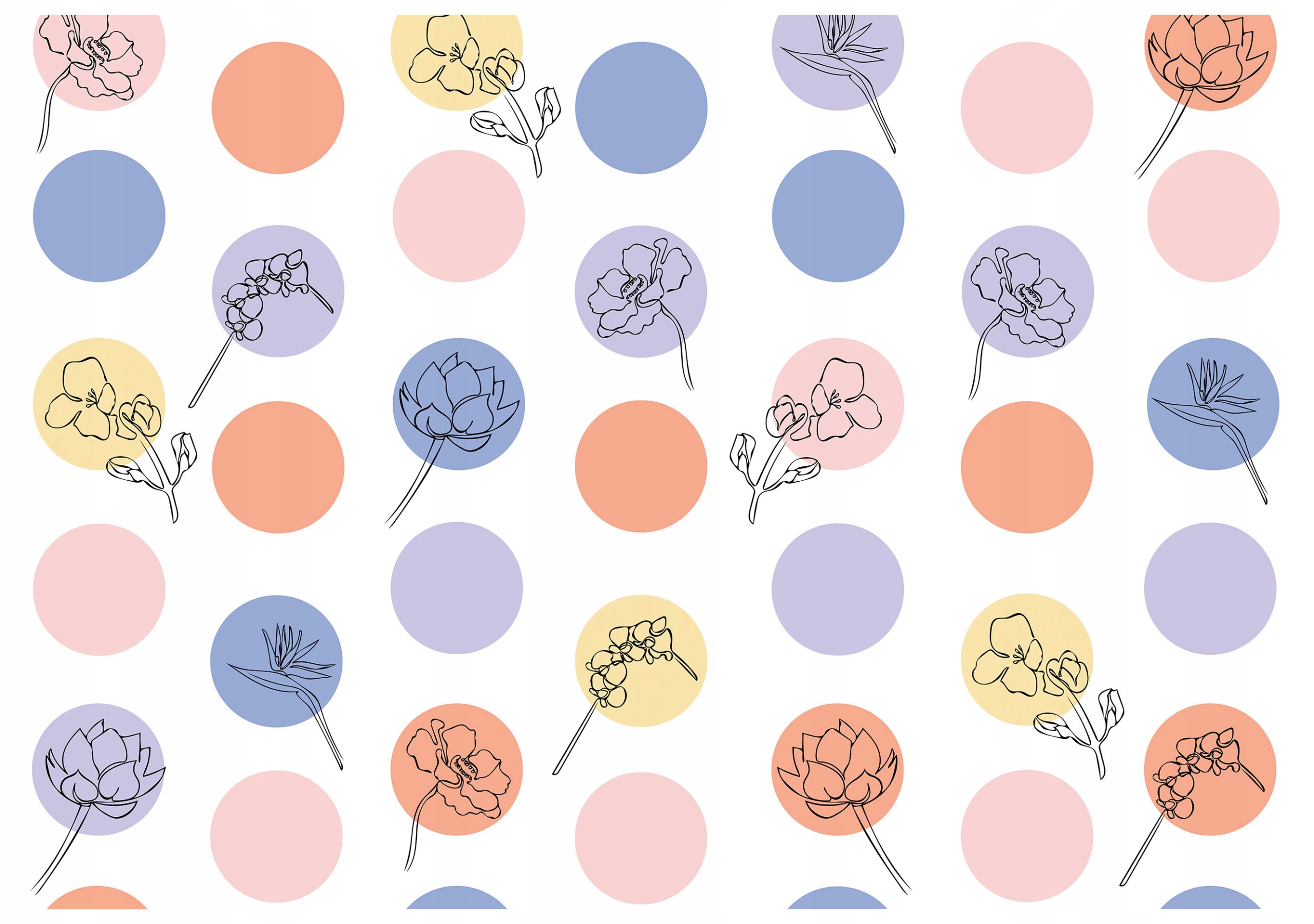 Fototapeta Kvetinový minimalizmus Pastelové kruhy Botanika 368x280 vinyl lepidlo