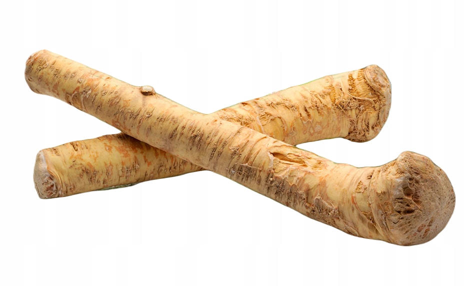 Čerstvý Kořen Křenového Křenu Na Strouhání 5 Kg