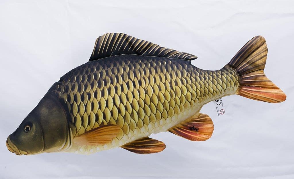 

Poduszka maskotka ryba Karp pełnołuski 100cm