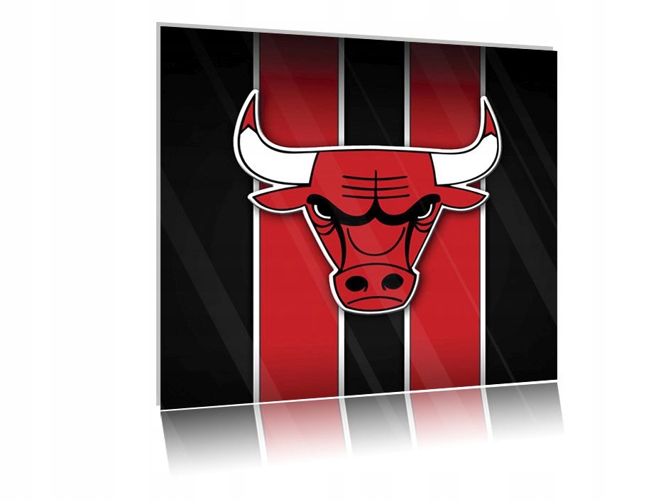 

Obraz szklany na szkle Chicago Bulls 03 30x30