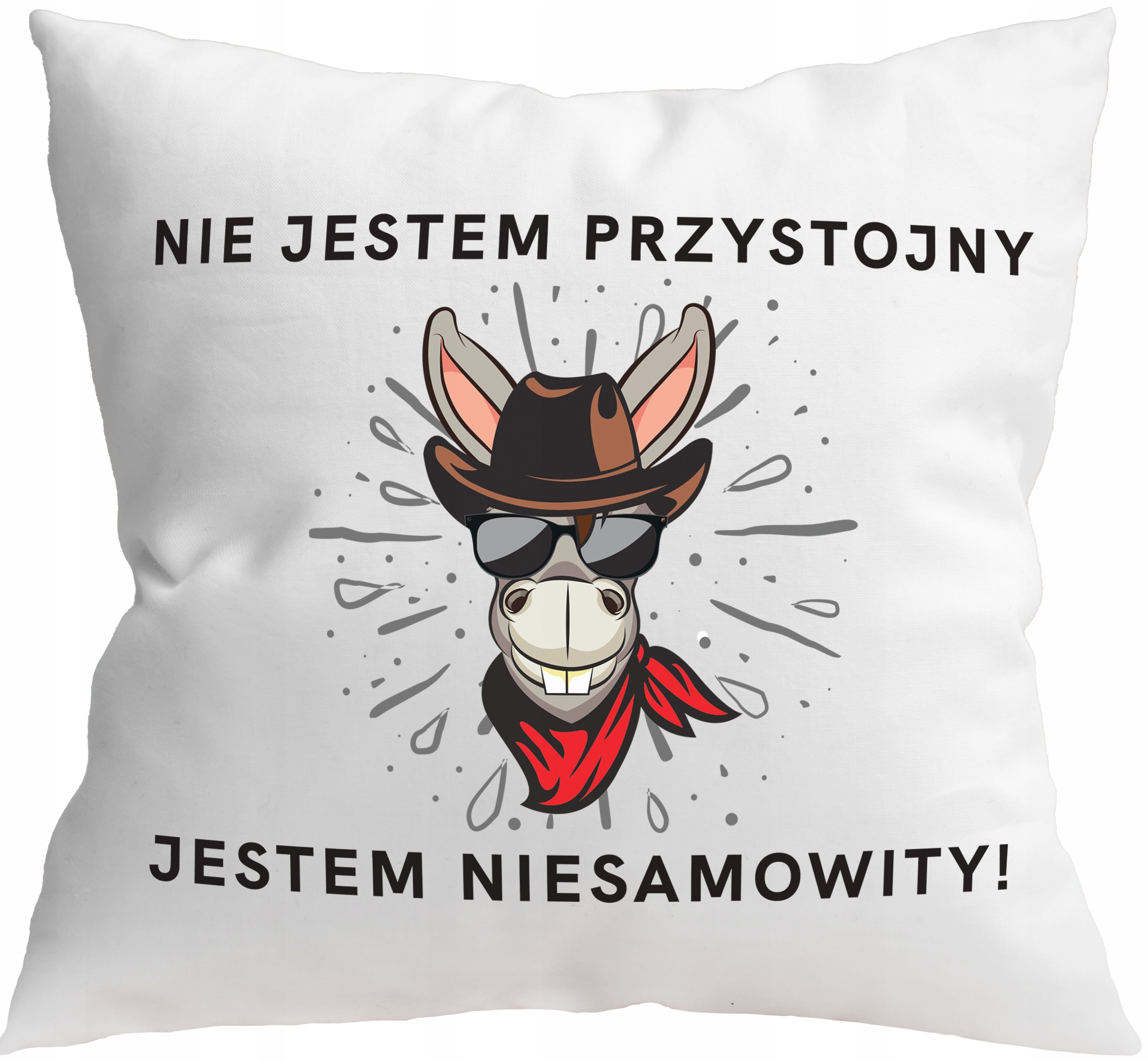 

Poduszka 40x40 Śmieszna Przystojny Facet