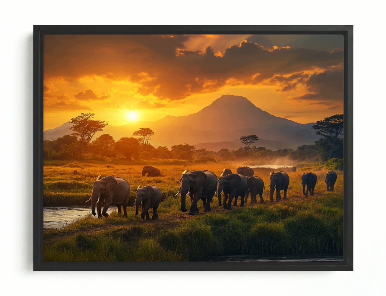 Obraz Rám American Box Zvieratá Fauna Afrika Slon Západ 80x60