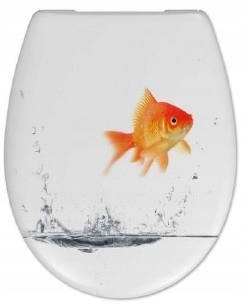 

Deska Sedesowa W/o Wypinana Ozdobna Uniwersalna