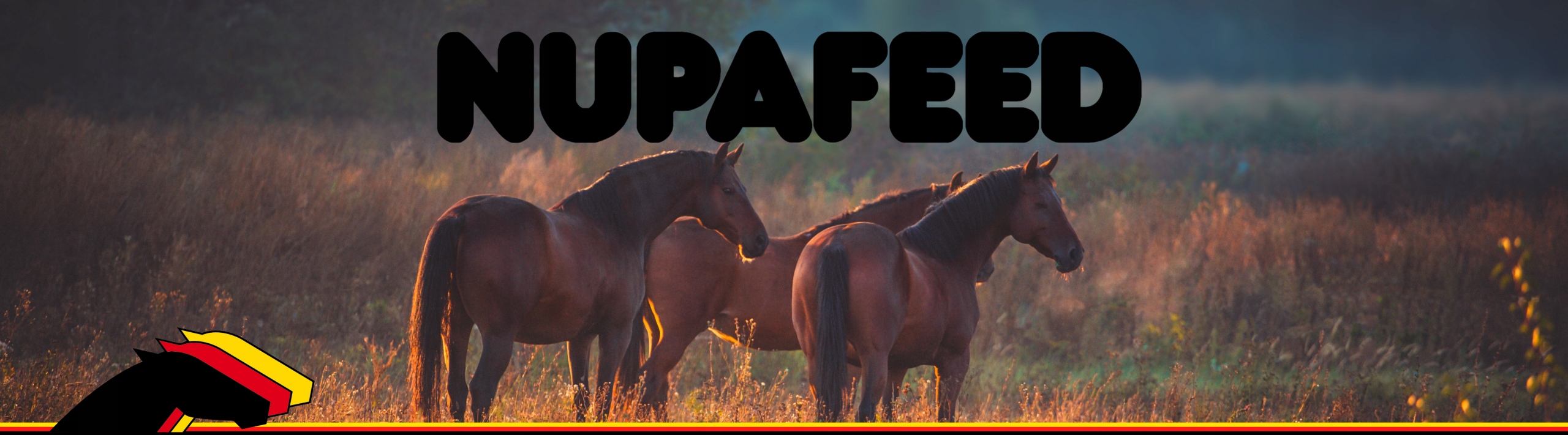 NUPAFEED STAYING POWER L-KARNITYNA BOOSTER ENERGIA WYTRZYMAŁOŚĆ Z MAGNEZEM Marka inna