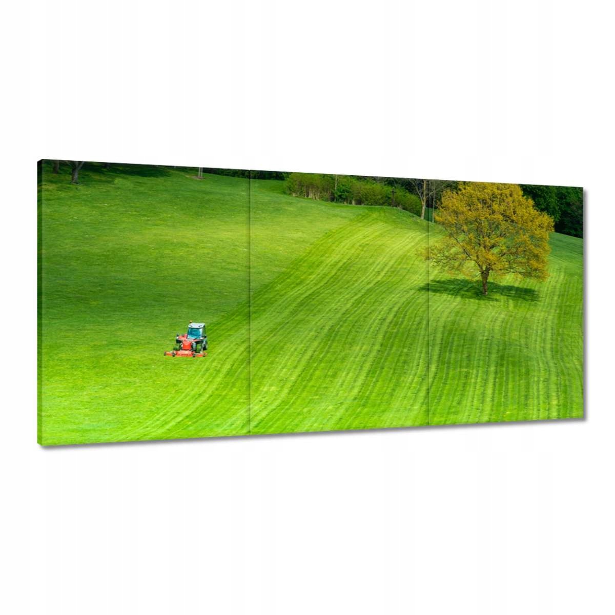 Obrazy 180x90 Golfové ihrisko