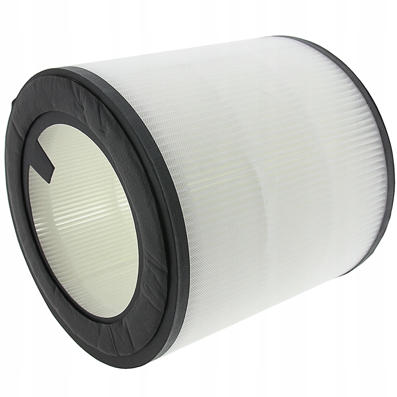 Filtr do oczyszczacza powietrza Philips seria 800 Hepa AC0820/10 AB0820/30